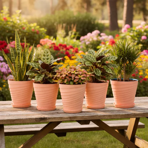 Beige_Plastic_Premium_Planter_For_Home,_Garden_And_Balcony