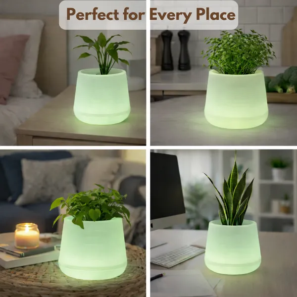 Green_Plastic_Premium_Led_Planter_For_Gifting,_Table_Top_And_Bedroom