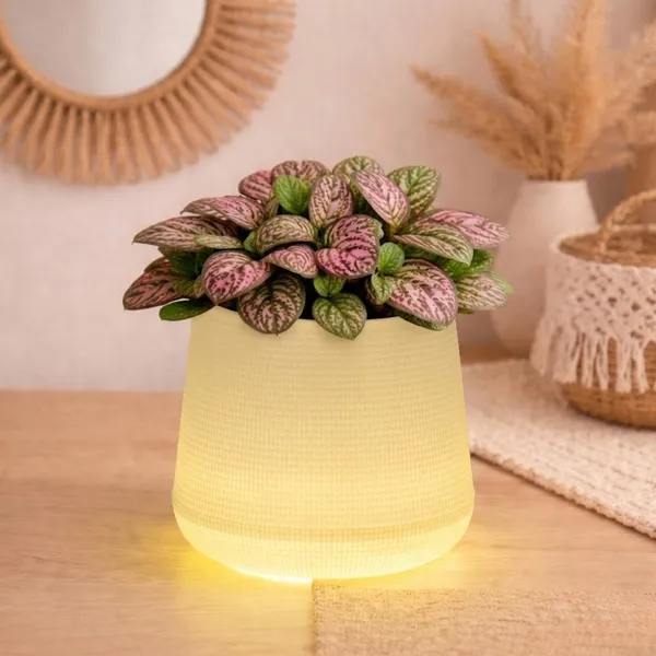 Yellow_Plastic_Premium_Led_Planter_For_Gifting,_Table_Top_And_Bedroom