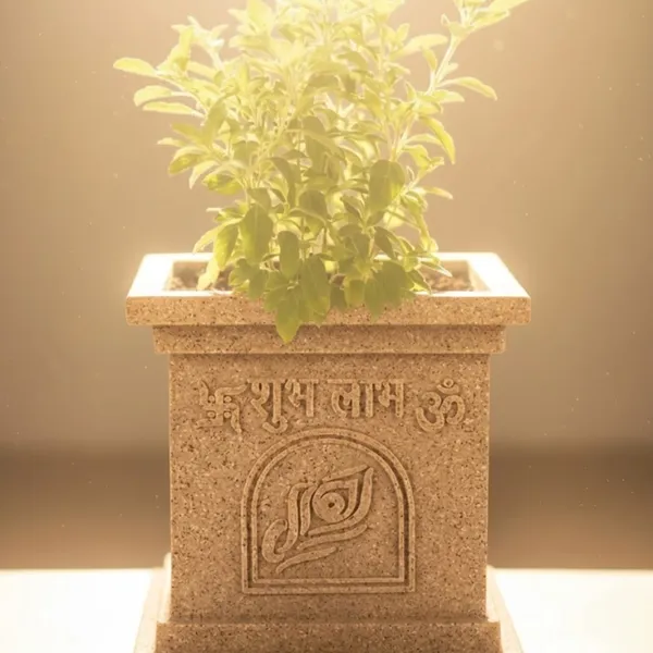 Beige_Polymer_Premium_Tulsi_Planter_For_Living_Room,_Balcony,_Office