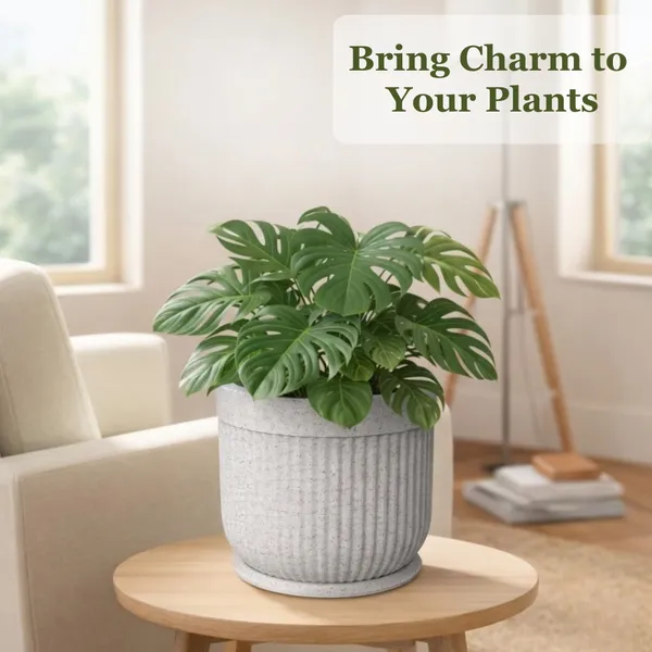 White_Polymer_Premium_Planter_For_Home,_Garden,_Balcony_And_Office