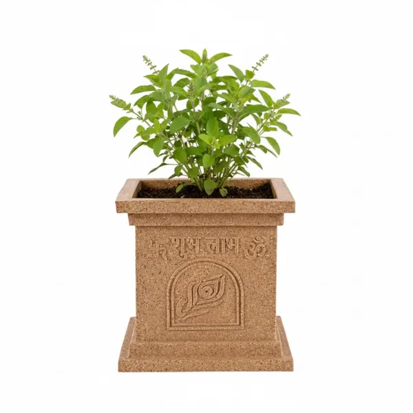Beige_Polymer_Premium_Tulsi_Planter_For_Living_Room,_Balcony,_Office