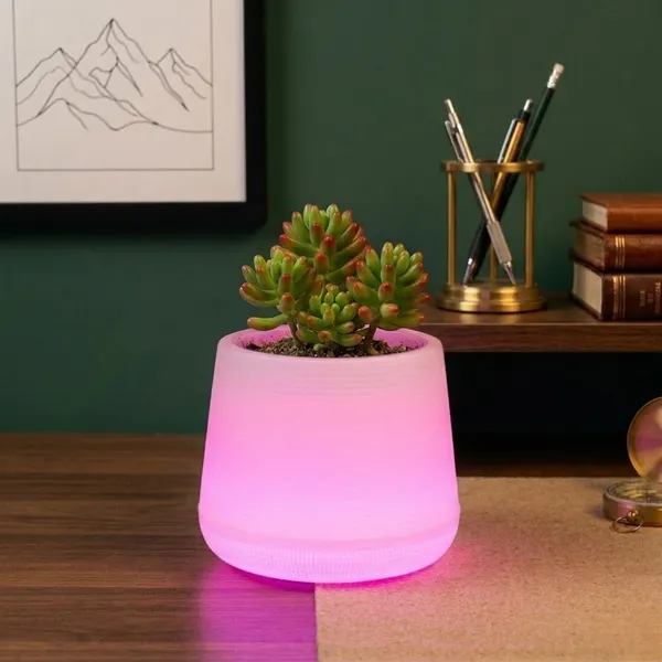 Pink_Led_Planter_For_Gifting,_Table_Top_And_Bedroom