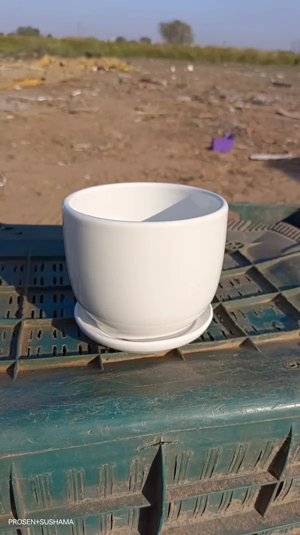White_Ceramic_Premium_Planter_For_Modern_Elegant_Home_And_Office_Decor