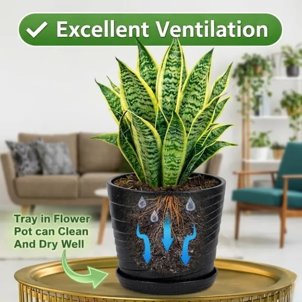 Black_Plastic_Premium_Planter_For_Home,_Garden_And_Balcony