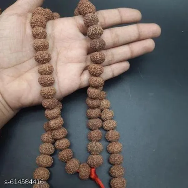 Bong_Nursery_Rudraksha_Panchmukhi_Live_Plant_Pack_Of_1