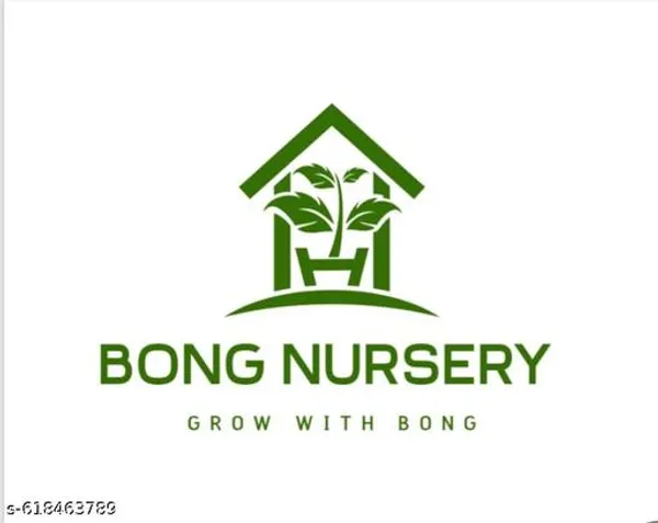 Bong_Nursery_Water_Lily_Lotus_Seeds_Pack_Of_10