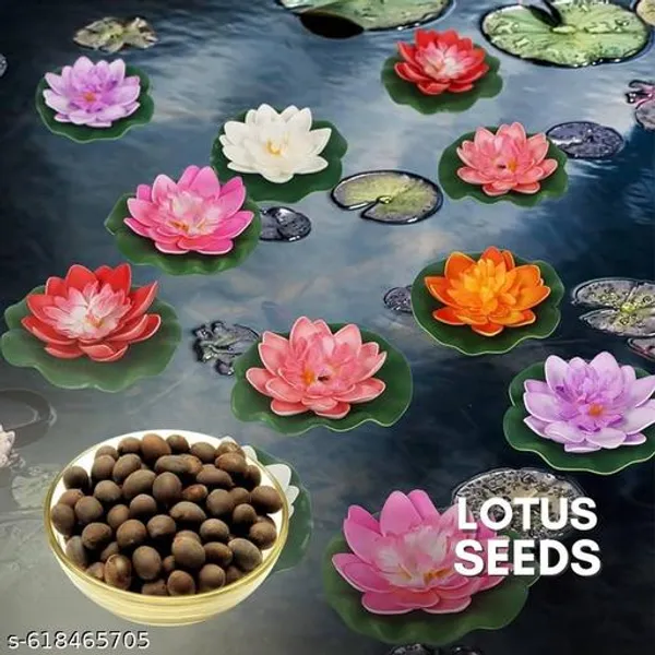 Bong_Nursery_Water_Lily_Lotus_Seeds_Pack_Of_10