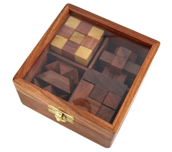 The_4-in-1_Wooden_Brain_Teaser_Puzzle_Set