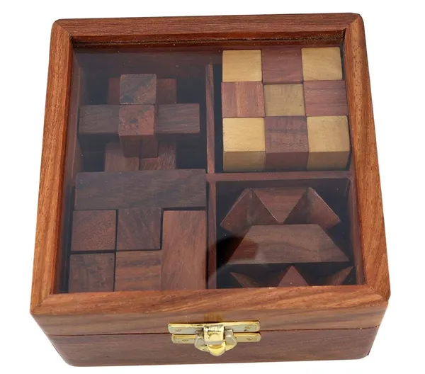 The_4-in-1_Wooden_Brain_Teaser_Puzzle_Set