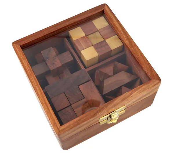 The_4-in-1_Wooden_Brain_Teaser_Puzzle_Set