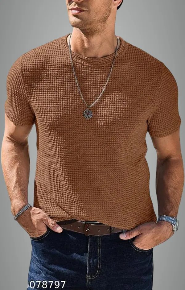 Brown_Cotton_Blend_Premium_T_Shirt_For_Men