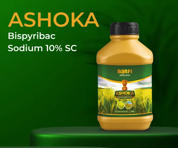 Ashoka_Bispyribac_Sodium_10%_Sc_Herbicide