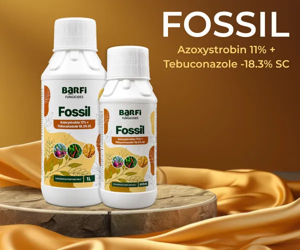 Fossil_Fungicide_Azoxystrobin_11%_+_Tebuconazole_18.3%_Sc