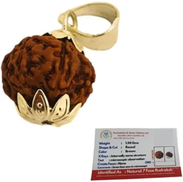7_mukhi_nepali_rudraksha_Pendent_with_German_sliver_capping