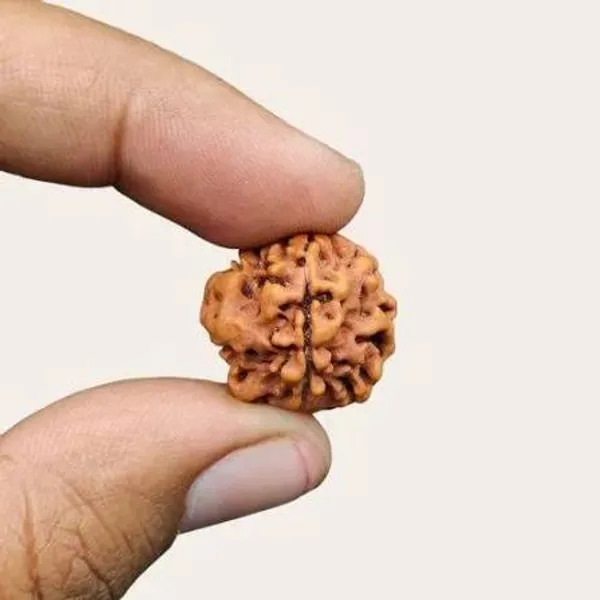 1_Mukhi_round_Nepali_Rudraksha_Bead