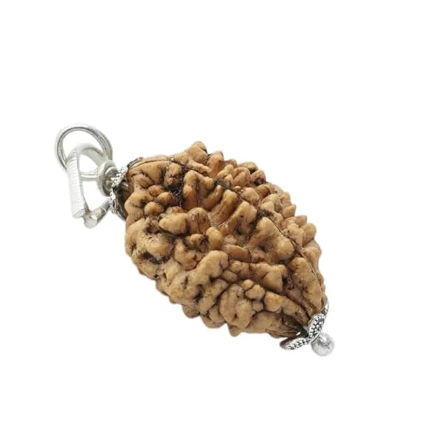 2_Mukhi_Rudraksha_with_Silver_Capping_Lab_Tested_Certified_Rudraksh_Beads_|Two_Face_Rudraksha_Pendant_Original_Rudraksha_Locket_for_Men_&_Women
