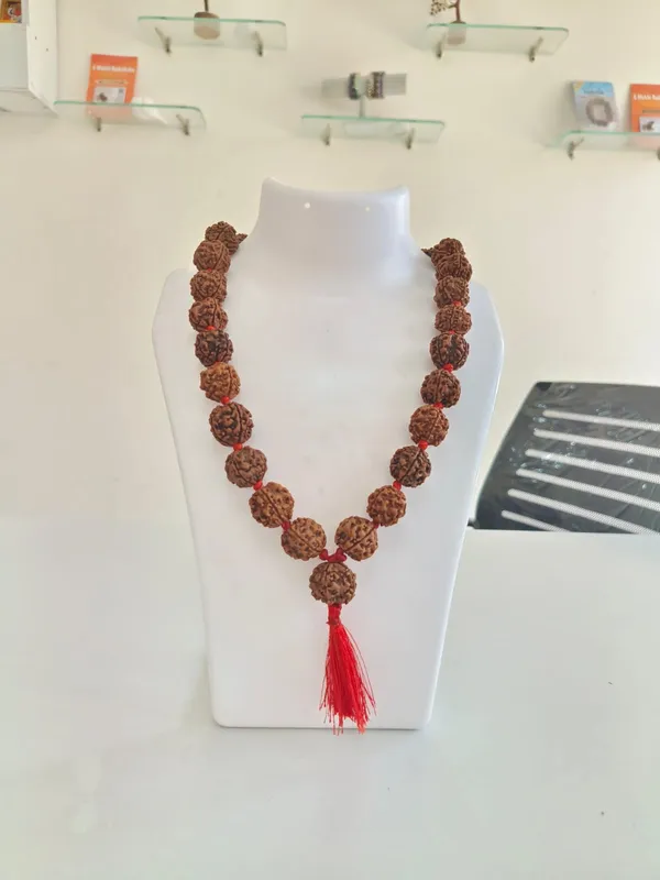 4_Mukhi_nepali_Rudraksh__27+_1__Beads
