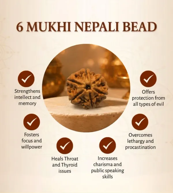 6_Mukhi_Nepali_Rudraksha__for_Confidence_&_Willpower