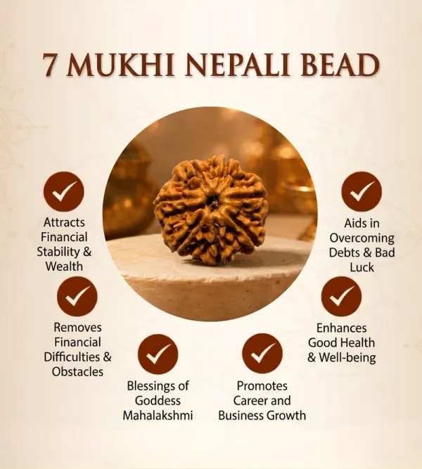 7_Mukhi_Nepali_Rudraksha_Bead_for_Wealth_and_Prosperity