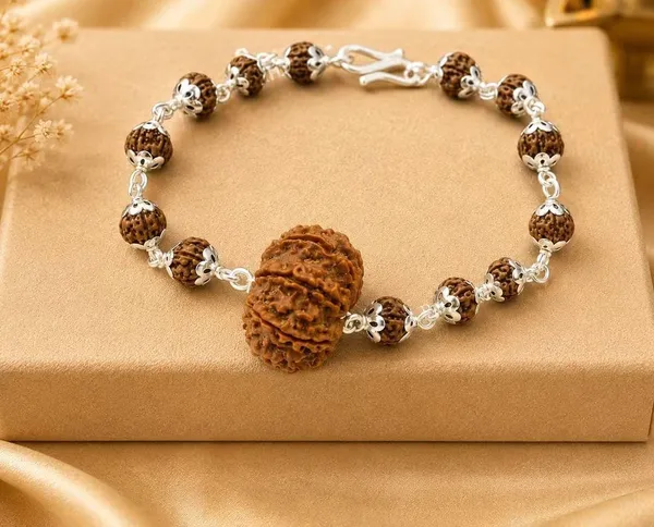 7_mukhi_nepali_Rudraksha_with_sliver_chain
