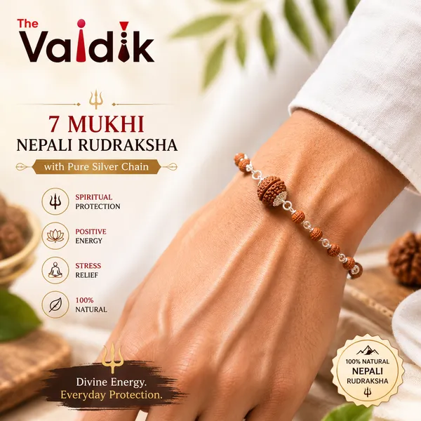 7_mukhi_nepali_Rudraksha_with_sliver_chain