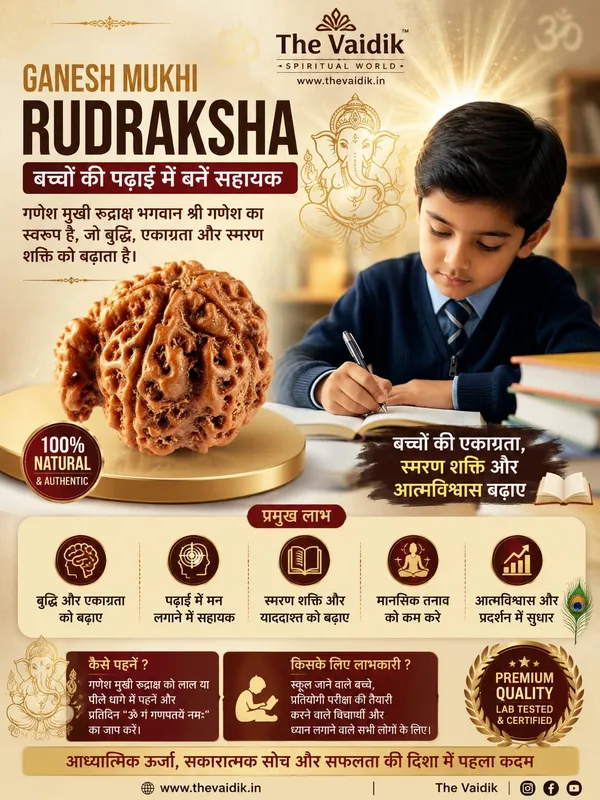 Ganesh_mukhi_Nepali_Rudraksha_Bead_|_Natural_&_Certified_with_Certificate_|_Unisex_Both_for_Men_&_Women_|_for_Meditation_and_Prayer,_Protection
