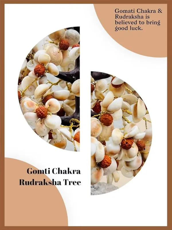Gomti_Chakra_And_Rudraksha_Decorative_Tree_For_Indoor