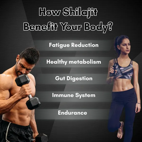 Combo_The_Vitamin_Factory_Premium_Himalayan_Shilajit_Resin_+_The_Vitamin_Factory_Shilajit_Gummies