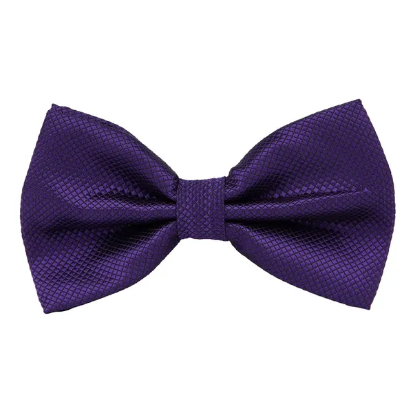 Krawatte_Exclusive_Purple_Bow_Tie_For_Men