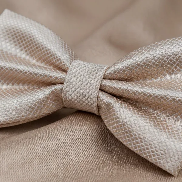 Krawatte_Exclusive_Beige_Bow_Tie_For_Men