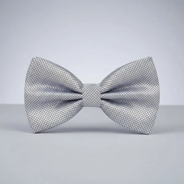 Krawatte_Exclusive_Silver_Bow_Tie_For_Men