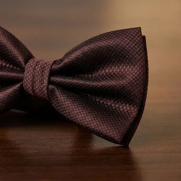Krawatte_Exclusive_Brown_Bow_Tie_For_Men
