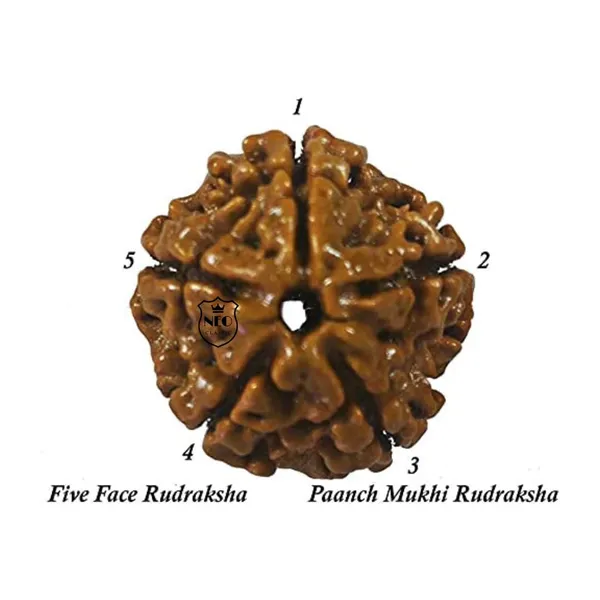 NEO_CLASSIC_Rudraksha_Mala_108_Beads_(8mm)_|_Jaap_Mala_for_Meditation,_Yoga_&_Spiritual_Use_for_Men_&_Women
