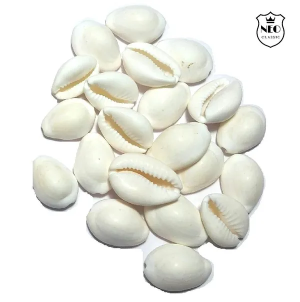 NEO_CLASSIC_White_Cowrie_Shells_for_Lakshmi_Pooja_|_Kodi,_Kaudi,_Kauri,_Gavvalu_for_Diwali_Laxmi_Poojan,_Vastu_&_Spiritual_Rituals_|_Pack_of_11