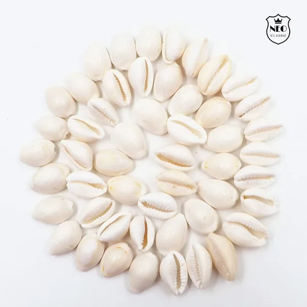 NEO_CLASSIC_White_Cowrie_Shells_for_Lakshmi_Pooja_|_Kodi,_Kaudi,_Kauri,_Gavvalu_for_Diwali_Laxmi_Poojan,_Vastu_&_Spiritual_Rituals_|_Pack_of_11