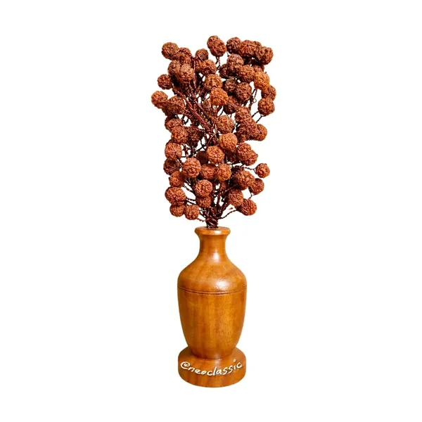 Rudraksha_Tree_Bouquet_With_108_Natural_5_Mukhi_Rudraksha_Beads_Paanch_Mukhi_Rudraksh_Bunch_For_Pooja_Meditation_Home_Decor_1