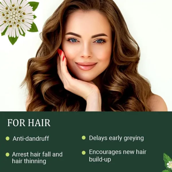 Natural_Bhringraj_Powder_For_Hair_Growth_200_Grams_For_Hair_Mask_100_Pure_And_Natural