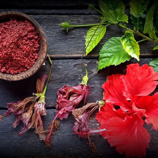 Hibiscus_Powder_For_Hair_Growth_100_Grams_Ideal_For_Hair_Pack_And_Face_Pack_Gudhal_Ka_Phool_Powder_100_Pure_And_Natural_No_Preservatives