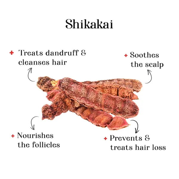 Organic_Shikakai_Powder_For_Frizzy_Soft_Shiny_Hair_Strengthening_Nourish_Conditioner_Cleanser_100G