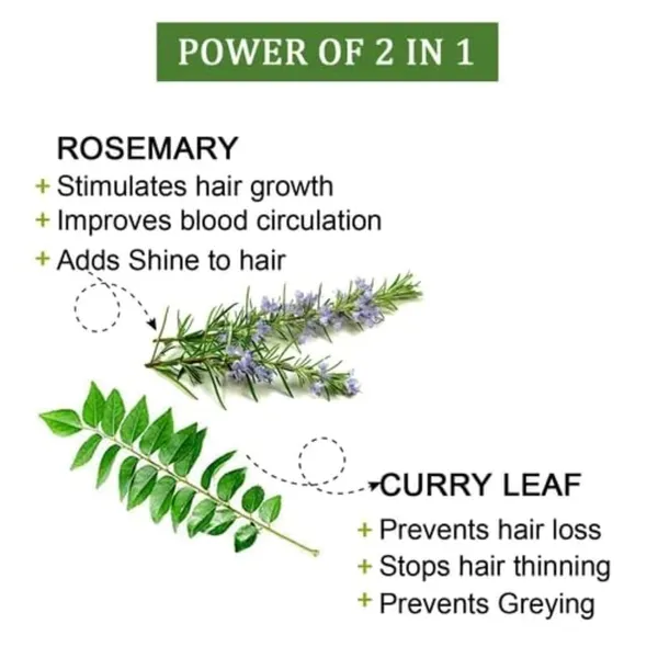 Rosemary_Curry_Leaves_Powder_For_Hairfall_Herbal_Mask_For_Stronger_Hair_100_G