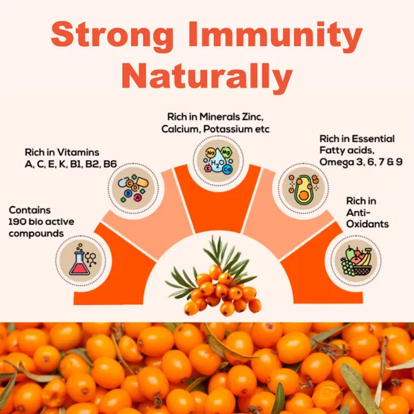 EXPEDITECURE_Himalayan_Sea_Buckthorn_Juice_500ML