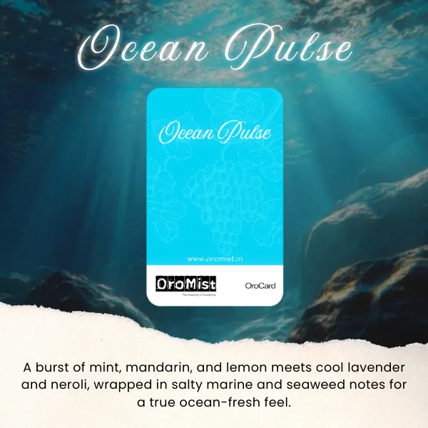 Ocean_Pulse_Ourocard