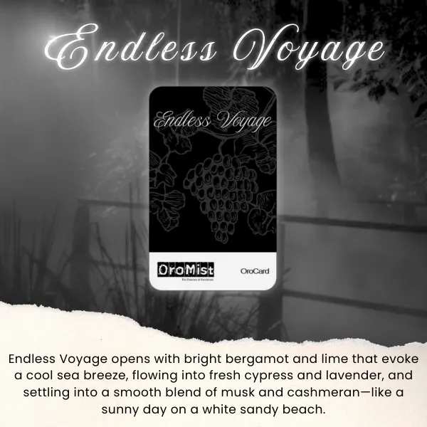 Endless_Voyage_Ourocard