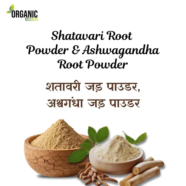 Ashwagandha_&_Shatavari_Root_Powder_(100g_Each)_|_Pure_&_Natural_|_Energy,_Immunity_&_Hormonal_Balance_|_Ayurvedic_Herbal_Supplement_(200_gm)