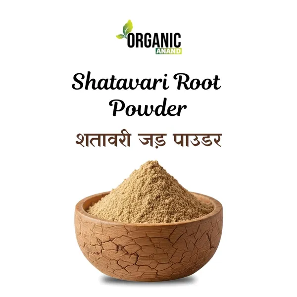 Shatavari_Root_Powder_Asparagus_Racemosus_Shatavari_Kizhangu_Chittamoothi_Promotes_Lactation_Naturally_Non_Gmo_No_Added_Preservatives