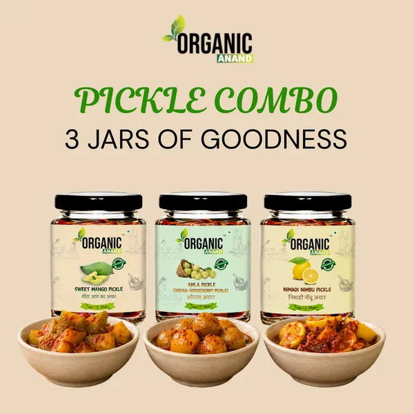 Vitamin_C_Trio_(Amla_+_Nimadi_Lemon_+_Murabba)