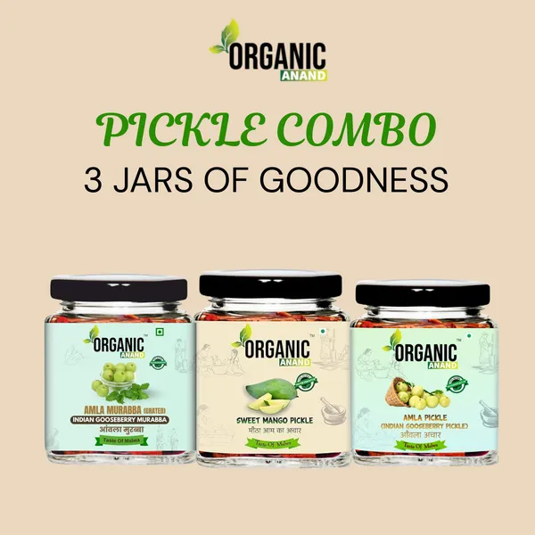 Sweet_&_Tangy_Trio_(Mango_+_Amla_+_Murabba)
