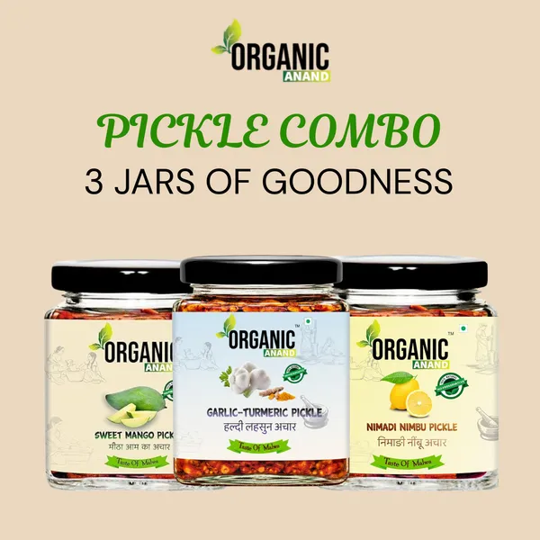 Spicy_Trio_(Mango_+_Garlic_Turmeric_+_Nimadi_Lemon)