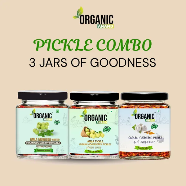 Amla_Trio_(Amla_+_Garlic_Turmeric_+_Murabba)